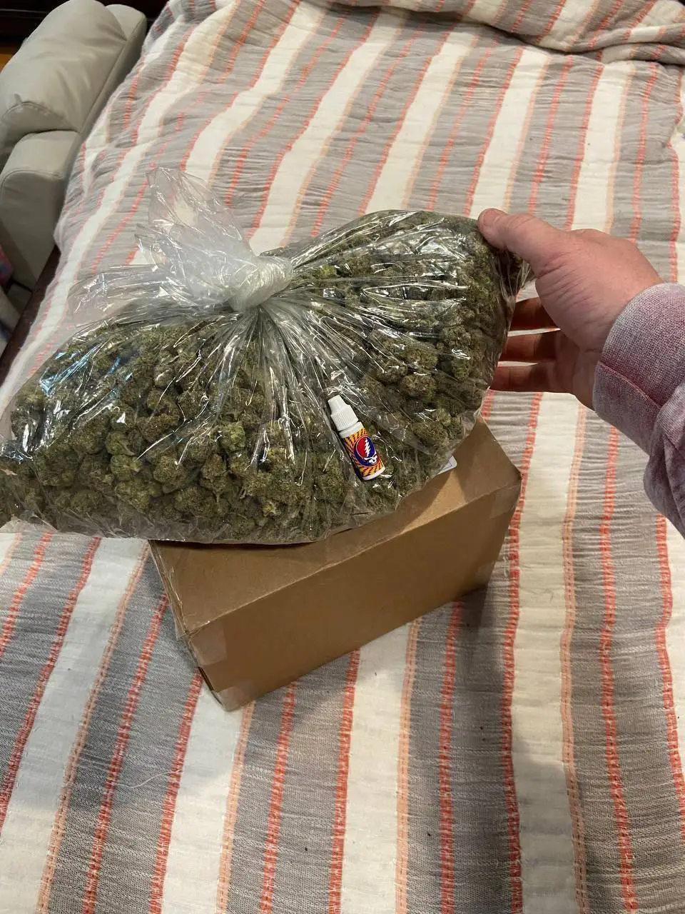 Buy weed Coke in Los Angeles on Telegram
